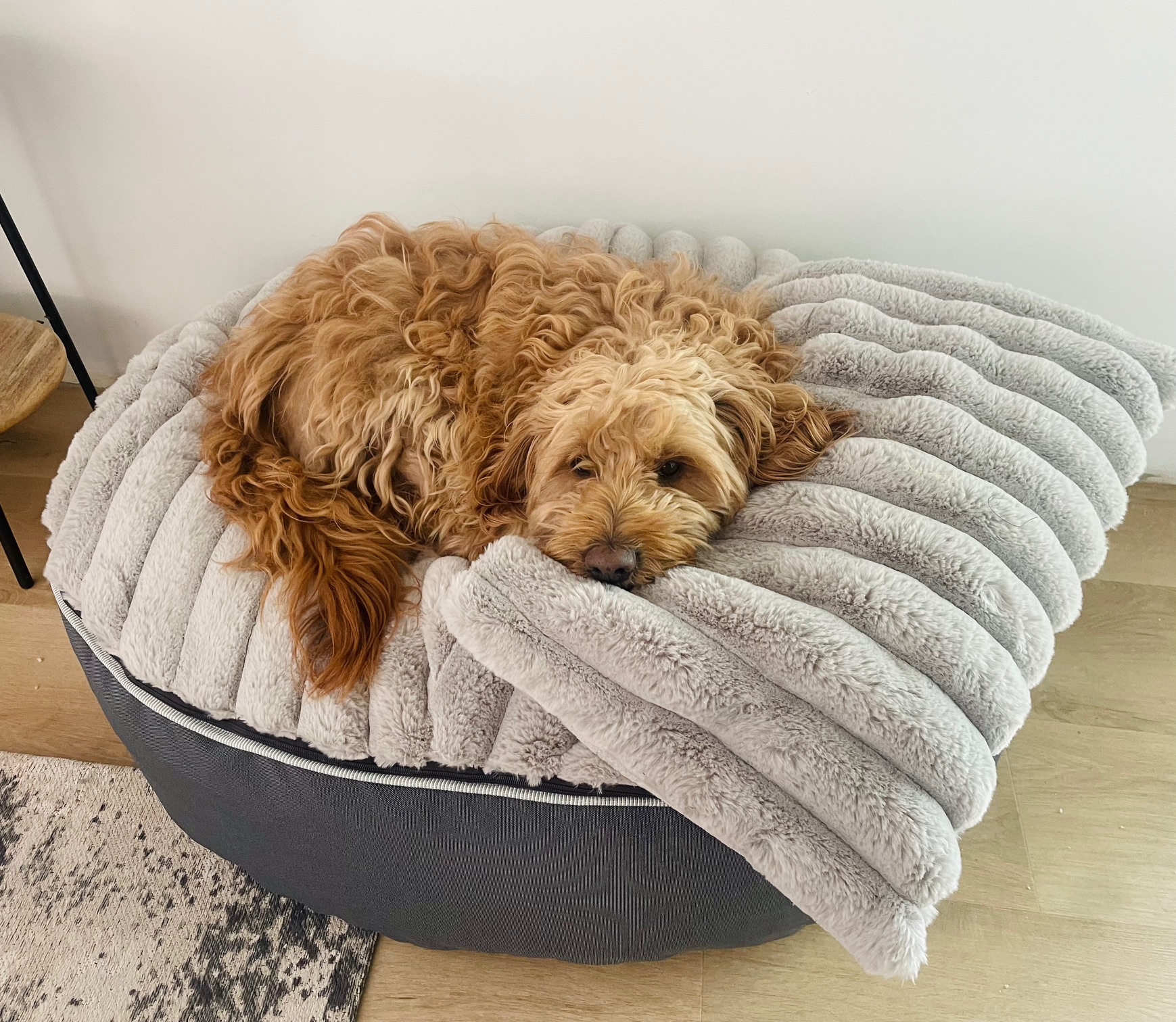 Pet Pod - Fur Rib 2